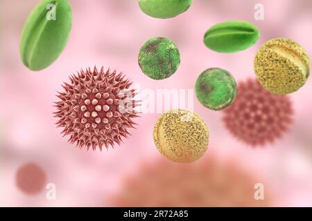 Pollenkörner verschiedener Pflanzen, Bauernbild. Pollen Korngröße, Form und Oberflächenbeschaffenheit unterscheiden sich von Pflanzenart zu Pflanzenart, wie Stockfoto