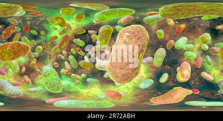 Porphyromonas gingivalis orales Bakterium, 360 Grad Panorama Ansicht Computer Illustration. P. gingivalis (früher als Bacteroides gingivalis bekannt) ist p Stockfoto