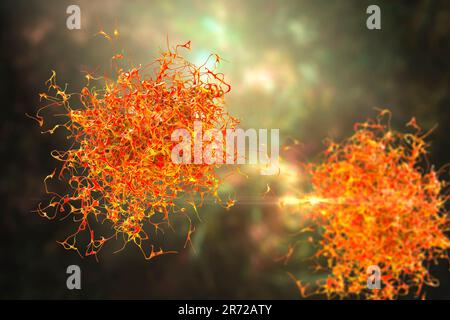 Amöbe, Computer-Illustration. Stockfoto