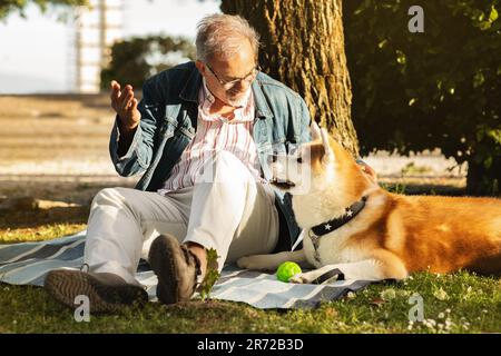 Ein glücklicher weißer Senior-Mann mit Bart und Brille spielt mit dem Hund Ball, macht ein Picknick im Park, geht in Rente Stockfoto