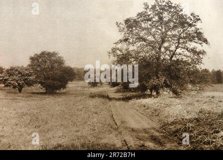 Ein 1933°-Blick auf einen Teil des Peddar's Way Fußwegs, Suffolk, England. Sie beginnt in Suffolk am Knettishall Heath Country Park und folgt der Route einer römischen Straße für 49 Meilen (79 km) nach Holme-next-the-Sea auf der Norfolk. Stockfoto