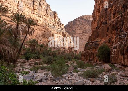 Wanderung durch den berühmten Amtoudi Canyon im Anti-Atlas, Marokko Stockfoto