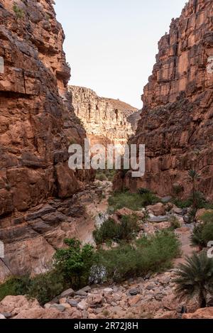 Wanderung durch den berühmten Amtoudi Canyon im Anti-Atlas, Marokko Stockfoto