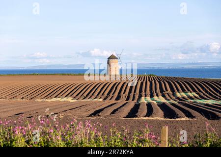 St Monans Windmill, Vorpflanzungsfeld, St Monans, Fife, Schottland, UK Stockfoto