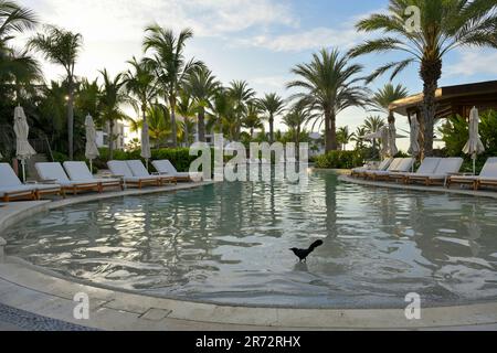 Das luxuriöse Conrad Punta de Mita Resort, Nayarit MX Stockfoto