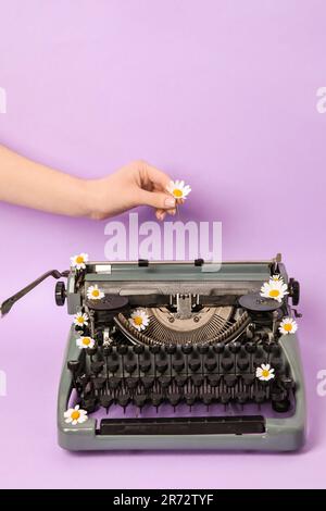 Frau, die Gänseblümchen auf Vintage-Schreibmaschine auf lila Hintergrund legt Stockfoto