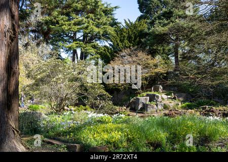 Birmingham Botanical Gardens, 2023. April Stockfoto