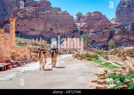 Die Colonnade Street, die durch Petra verläuft, mit vielen unausgegrabenen Stätten auf beiden Seiten und dem Tempel von Qasr al-Bint vor der Tür. Jordanien. Stockfoto