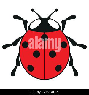 Sieben-Punkte-Marienkäfer, Farbvektor-Illustration eines siebenfleckigen Marienkäfers, isoliert auf weißem Hintergrund Stock Vektor