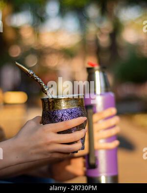 Eine Nahaufnahme der Hand der Frau, die eine lila Mate-Tasse mit Mate Bombilla hält. Stockfoto