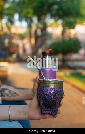 Eine Nahaufnahme der Hand der Frau, die eine lila Mate-Tasse mit Mate Bombilla hält. Stockfoto