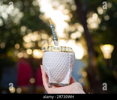 Eine Nahaufnahme der Hand der Frau, die einen weißen Mate-Becher mit Mate Bombilla hält. Stockfoto