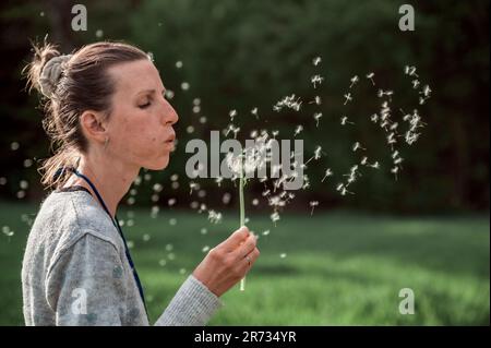 Eine junge Frau bläst eine zarte Löwenzahnblüte mit Samen um sie herum. Stockfoto