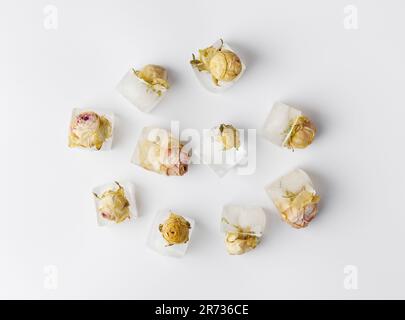 Konzeptionelle Zusammensetzung Rosenknospen in Eiswürfeln auf weißer Isolation, Draufsicht, Rosen gefroren in Eis. Stockfoto