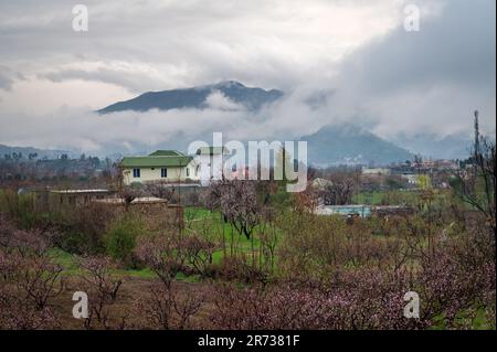 Die Barikot-Berge sind vollständig von Nebel bedeckt und das Wetter ist angenehm, Swat Pakistan Stockfoto