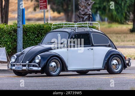 Ein Volkswagen-Käfer aus den 60er Jahren beim North Modesto Kiwanis American Graffiti Car Show & Festival Stockfoto