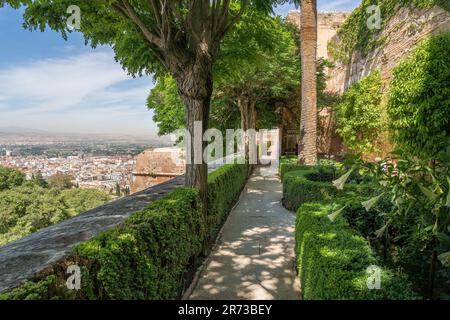 Garten der Stadtmauern (Jardin de los Adarves) in der Alcazaba Gegend der Festung Alhambra - Granada, Andalusien, Spanien Stockfoto