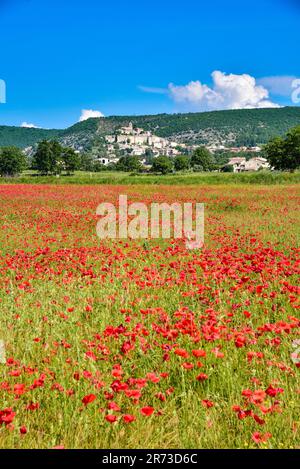 Das Dorf Banon im Departement Alpes-de-Haute-Provence der Region Provence-Alpes-Côte d'Azur in Südfrankreich, Europa Stockfoto