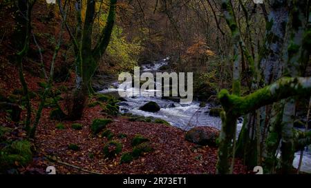 Die Birks Aberfeldy Stockfoto