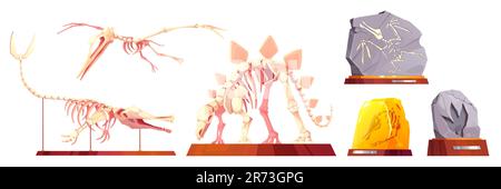 Fossil-Triceratops und Pterodactyl-Vektorskelett auf Podestpaläontologie-Cartoon-Vektorsymbolset. Abbildung des Fußabdrucks von Museum-Dinosauriern aus Stein. Isolierter Grabschädel mit Knochenklipart-Sammlung Stock Vektor