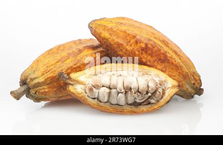 Kakaobohnen oder Kakaobohnen isoliert auf weißem Hintergrund Stockfoto