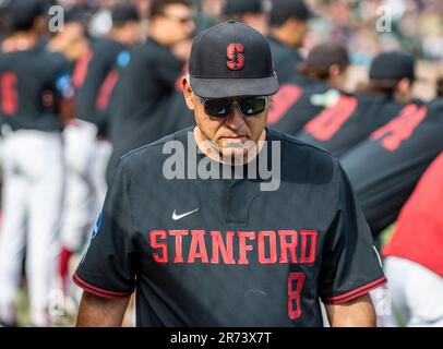 Juni 12 2023 Palo Alto CA USA Cheftrainer David Esquer geht während des NCAA Super Regional Baseballspiels zwischen Texas Longhorns und dem Stanford Cardinal im Klein Field/Sunken Diamond in Palo Alto Calif. Über die Dugout Thurman James/CSM Stockfoto