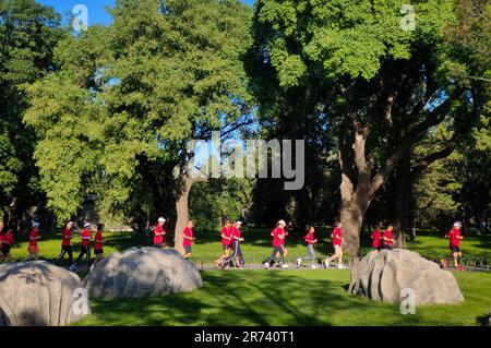 (230613) -- PEKING, 13. Juni 2023 (Xinhua) -- Dieses mit einem Mobiltelefon aufgenommene Foto zeigt Joggingtouren im Tiantan (Himmelstempel) Park in Peking, Hauptstadt von China, 3. Juni 2023. Die Pekinger Zentralachse, Zhongzhouxian, wurde ursprünglich in der Yuan-Dynastie (1271-1368) erbaut und erstreckt sich 7,8 Kilometer zwischen dem Yongding-Tor (Yongdingmen) im Süden der Stadt und dem Trommelturm und Glockenturm im Norden. Die meisten der wichtigsten alten Gebäude von Peking liegen entlang dieser Achse. Vierzehn historische Orte entlang der Achse, einschließlich Qianmen, die Verbotene Stadt, Jingshan Park, die Trommel und Glockentowe Stockfoto