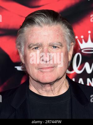 Pasadena, USA. 12. Juni 2023. Der Schauspieler Treat Williams, ein Star aus Fernsehen, Bühne und Film, starb heute im Alter von 71 Jahren bei einem Motorradunfall in Vermont. 14. Januar 2017 Pasadena, CA Treat Williams Hallmark Channel und Hallmark Movies & Mysteries Winter 2017 TCA Press Tour Party im Tournament House in Pasadena © Tammie Arroyo/AFF-USA.com Guthaben: AFF/Alamy Live News Stockfoto