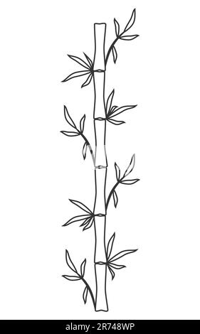 Von Hand gezeichnete Vektordarstellung mit Bambusschaft und Blättern mit schwarzer Kontur auf weißem Hintergrund isoliert Stock Vektor