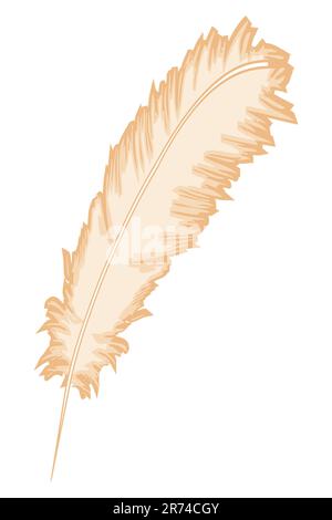Illustration der Feder Blatt auf isolierte Hintergrund Stock Vektor