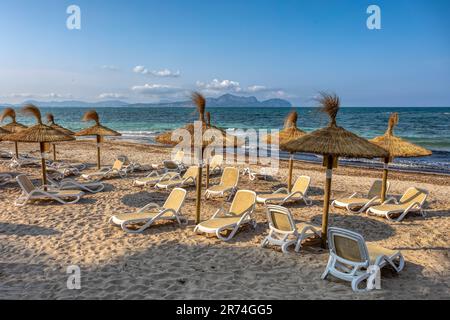 Can Picafort Beach mit Strohschirmen und Sonnenliegen, morgens ohne Leute, am türkisfarbenen Meer. Can Picafort, Balearen Mallorca S. Stockfoto