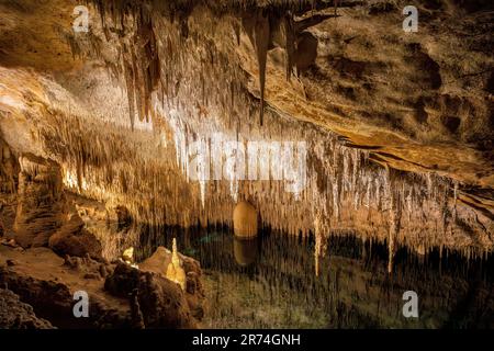 Drachenhöhle, Coves del Drach (Cuevas del Drach). Stalaktiten geheimnisvolle unterirdische Höhlen. Porto Cristo Balearen Mallorca Spanien. Urlaub CO Stockfoto