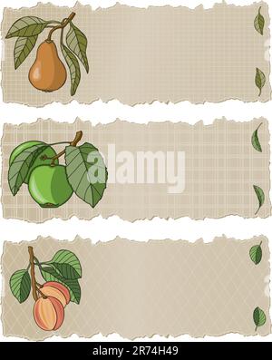 Vektorgrafiken in Illustrator 8. Drei köstliche Früchte, handgemalt in einem lockeren Grafikstil auf einem zerrissenen Papierbanner. Alle Elemente auf separaten Ebenen. Stock Vektor