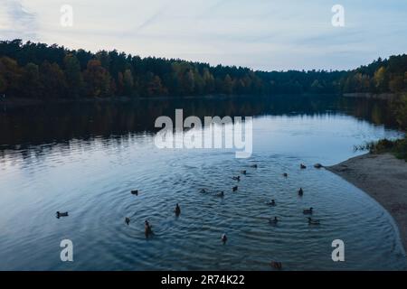 Atemberaubend schöner See in der goldenen Herbstsaison. Magische mehrfarbige Reflexion mit leichten Wellen auf der Oberfläche des Wasserfalles am Abend. Herbstlandschaft farbenfrohe Herbstwälder mit leuchtend gelbroten, orangefarbenen und grünen Baumblättern, die sich in einer stillen Wasseroberfläche des Sees spiegeln Stockfoto