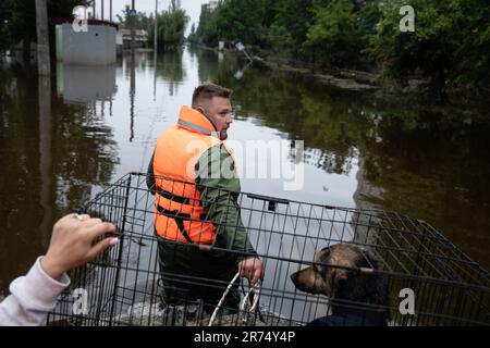 KHERSON, UKRAINE - 12. Juni 2023: Rettungskräfte und Freiwillige retten Haustiere. Stockfoto