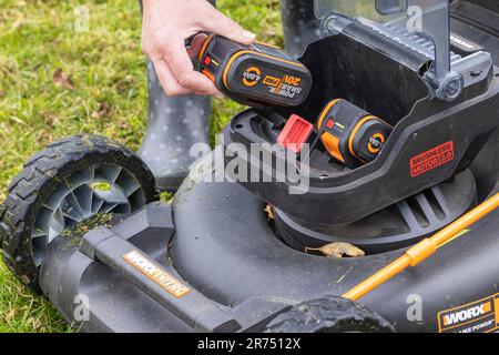 Frau legt frisch aufgeladenen Akku in einen Rasenmäher, Akkufach, Detail, Rasenmähen, Garten, Stockfoto