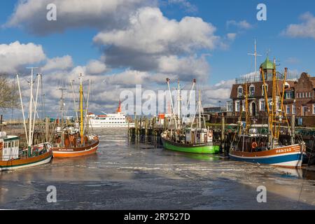 Winteratmosphäre, eisiger Hafen, Krabbenschneider im Hafen von Neuharlingersiel, Ostfriesien, Niedersachsen, Stockfoto