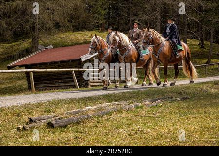 Georgiritt 2023 in Mittenwald, Bayern. Stockfoto