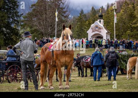 Georgiritt 2023 in Mittenwald, Bayern. Stockfoto