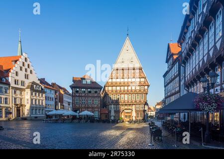 Hildesheim, Marktplatz, Bäckeramtshaus, Knochenhaueramtshaus, Fachwerkhaus, Altstadt in der Region Hannover, Niedersachsen Stockfoto