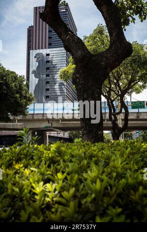 Taipeh. 13. Juni 2023. Godzilla-Wandgemälde an der Wand des Hotel Gracery in Taipei, Taiwan am 13. Januar 06/2023 ist das Wandgemälde fast 50 Meter hoch und fast 18 mm breit. Von Wiktor Dabkowski Credit: dpa/Alamy Live News Stockfoto