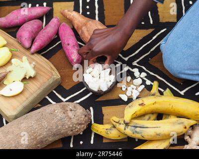 Schwarze Frau, die Baobab-Früchte oder Adansonia digitata auf Teller hält, Fruchtfleisch und Pulver, Superfood-Puppen. Stockfoto