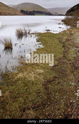 Im März bietet das Tibbie Shiels Inn einen Blick nach Süden über den Loch of the Lowes. Dumfries und Galloway, Borders, Schottland Stockfoto