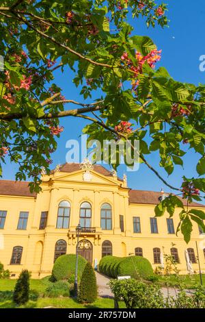 Nationalpark Donau-Auen, Nationalpark Donau-Auen, Schloss Eckartsau in Donau, Niederösterreich, Österreich Stockfoto