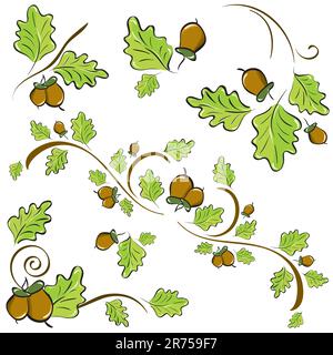 eine Reihe von Ornamenten von Eichenlaub und Eicheln. Vektor-illustration Stock Vektor