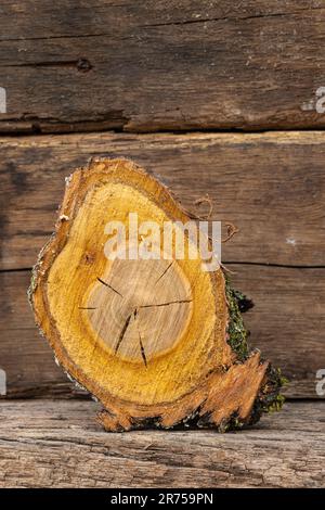 Holzstück vom Baum gesägt, Stille Leben Stockfoto