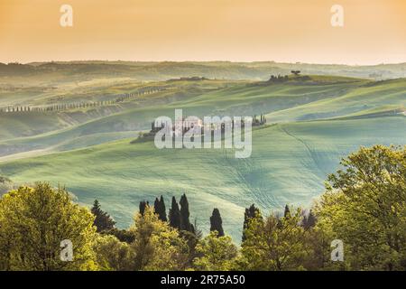 Italien, Toskana, Provinz Siena, Val d' Asso, toskanische Landschaft mit grünen Graslandschaften und Hügeln mit klassischer ländlicher Farm auf dem Gipfel Stockfoto