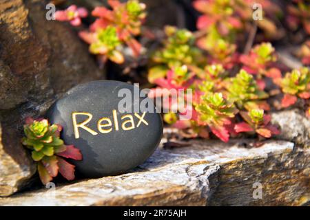 Massagestein mit dem Wort RELAX Stockfoto