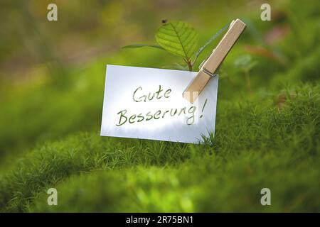 Setzling in Moos mit einem Stück Papier mit dem Schriftzug GUTE BESSERUNG, werde bald gesund! Stockfoto