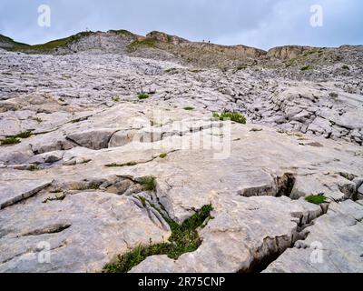 Auf dem Gottesacker-Plateau unterhalb des Hohen Ifen in den Allgäu-Alpen Stockfoto